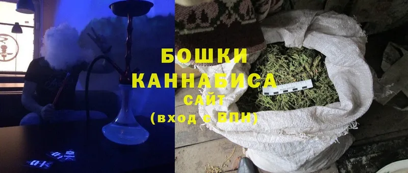 Бошки марихуана THC 21%  Новороссийск 